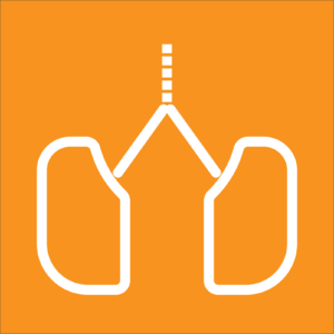 Quiz Trivia Science Biology