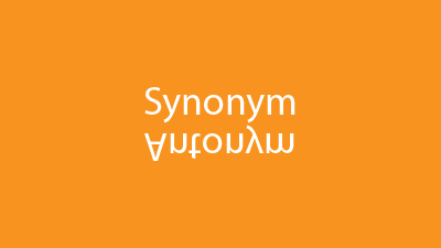 Synonym and Antonym Quiz