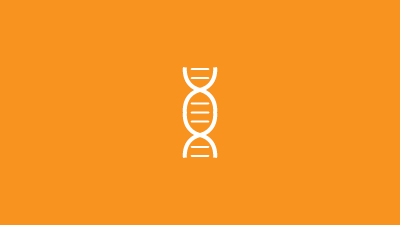 DNA Quiz