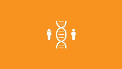 Genes and Heredity Quiz