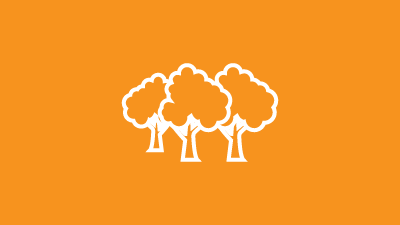 Famous Forest Quiz