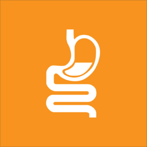 Digestive System Part 1 Quiz