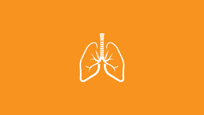 Respiratory System Part 1 Quiz
