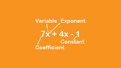 Polynomials Quiz
