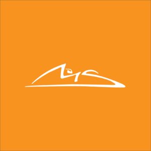 Michael Schumacher Quiz