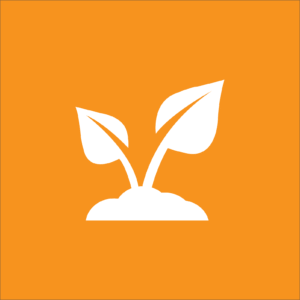 Launch Types of Soil Part 1 Quiz