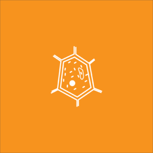 Launch Plant Cells Part 4 Quiz