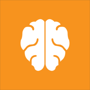 Launch Human Brain Part 2 Quiz