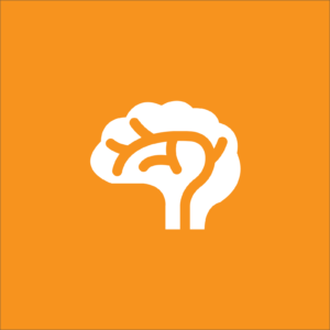 Launch Human Brain Part 3 Quiz