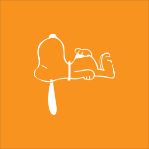 Launch Peanuts Part 2 Quiz